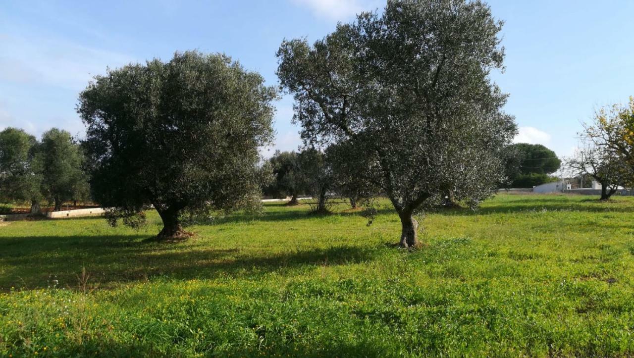 Villa Degli Ulivi Ceglie Messapica Bagian luar foto